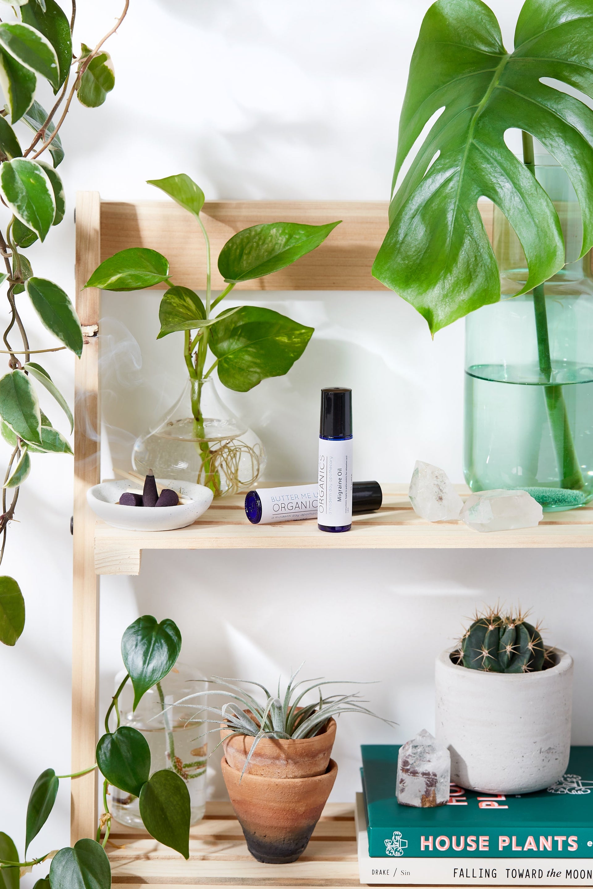 two migraine relief roller balls on a shelf with decorative plants surrounding them