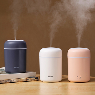 Refresh and Recharge Mini Diffuser